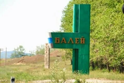 Балей забайкальский