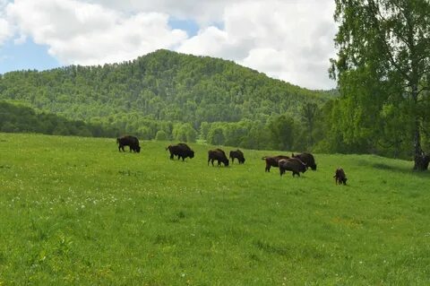 Сельский заповедник