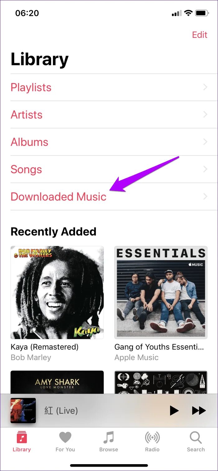 Как добавить песню в apple music. Плейлист из apple music. песня apple. как загрузить все песни в apple music. apple music essential.