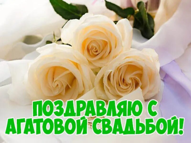 14 годовщина свадьбы открытки красивые. Агатовая свадьба поздравления. С годовщиной свадьбы агатовая свадьба. Агатовая свадьба поздравления. Поздравление с агатовой свадьбой.