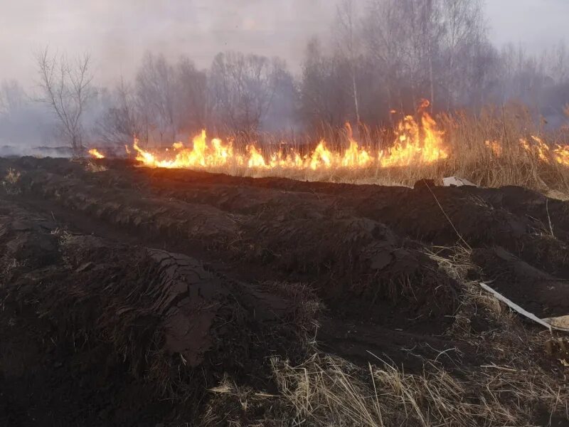 Травяной пожар. Пожар сухой травы. Загорание травы. Горит сухая трава.