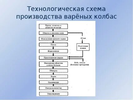 Технологическая схема полукопченых колбас