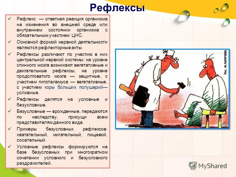 Рефлекторная деятельность организма. Рефлекторная деятельность организма. Основная форма нервной деятельности. Основной формой нервной деятельности является. Рефлекс как основа нервной деятельности.