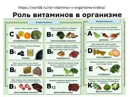 Общая роль витаминов