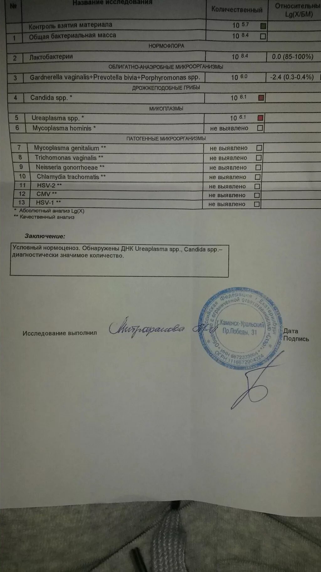 Ureaplasma spp что это. Днк ureaplasma spp. уреаплазма spp что это такое. днк уреаплазмы ureaplasma spp. фемофлор нормоценоз.