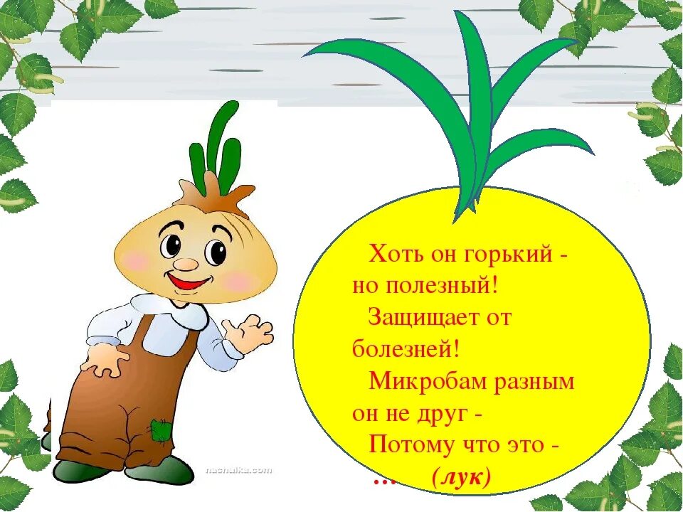 Лук картинки для огорода в детском саду. Стих про зеленый лук. Стихотворение о луке. Детские стихи о луке. Детский стишок про лук.