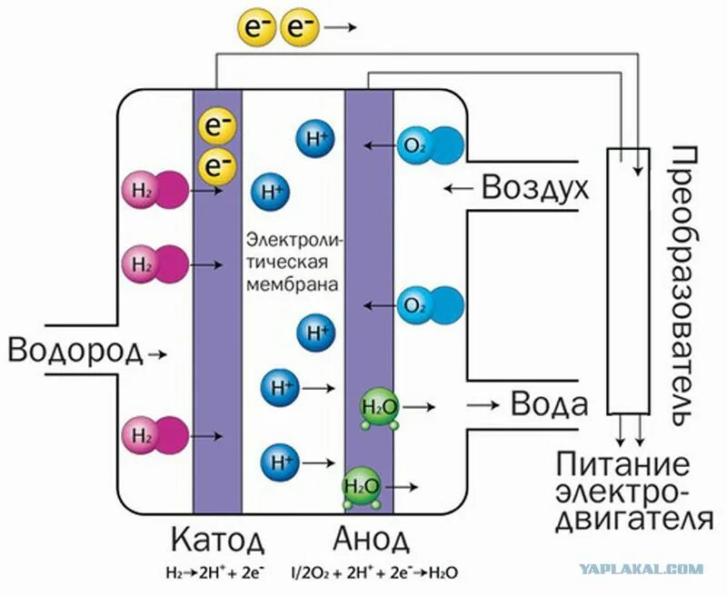 Топливные элементы - ячейка (fuel cell). Химические источники тока аккумуляторы топливные элементы. Топливный элемент с протонообменной мембраной. Водородные ячейки принцип работы. Твердооксидный топливный элемент.