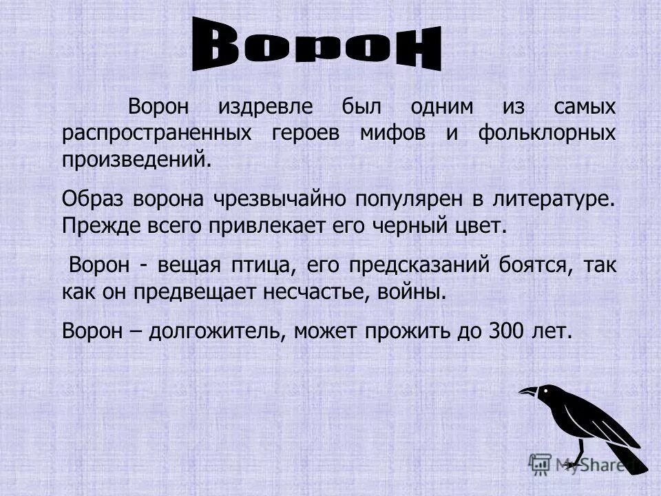 История про черного. Стихотворение ворона. Ворона рассказ. Ворона художественное произведение. Образ ворона в литературе.