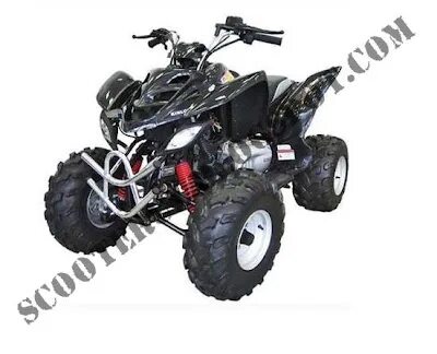 Armada 200 atv квадроцикл. Bashan explorer 320 4x4. Irbis 150u квадроцикл. Atv 150. Квадроцикл motax 50cc.