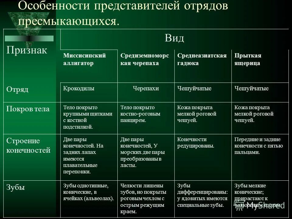 Таблица пресмыкающиеся функции