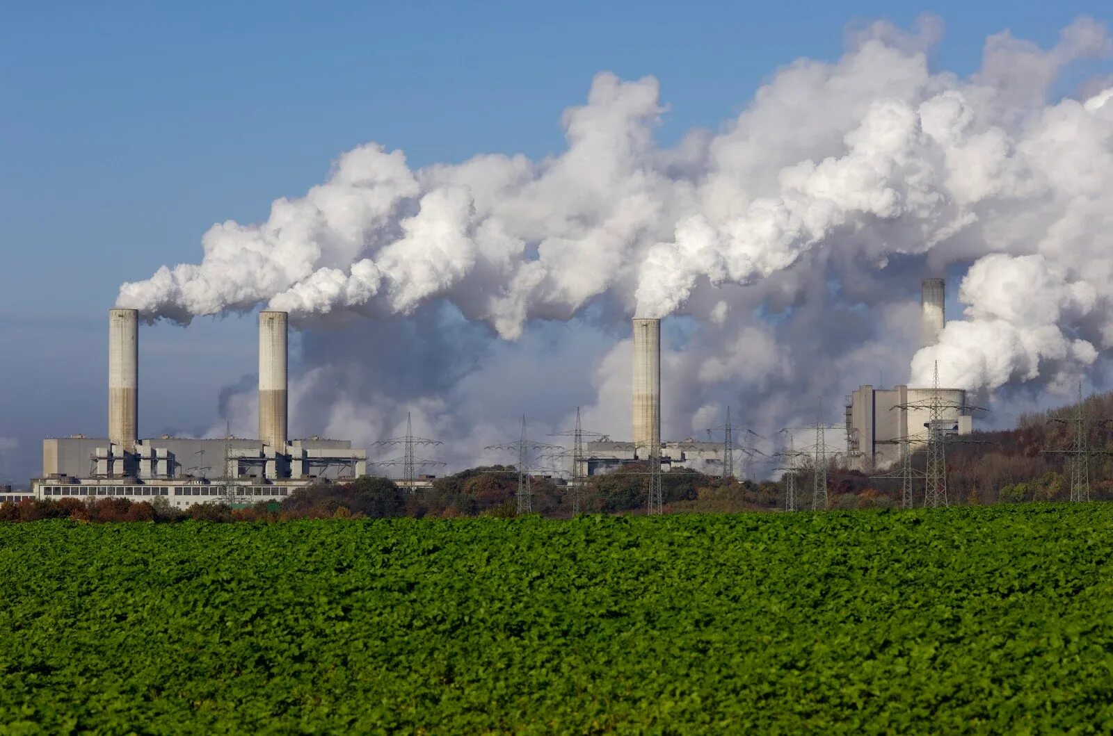 Carbon waste