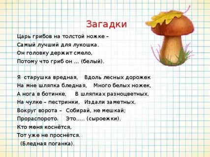 Загадка про белый гриб