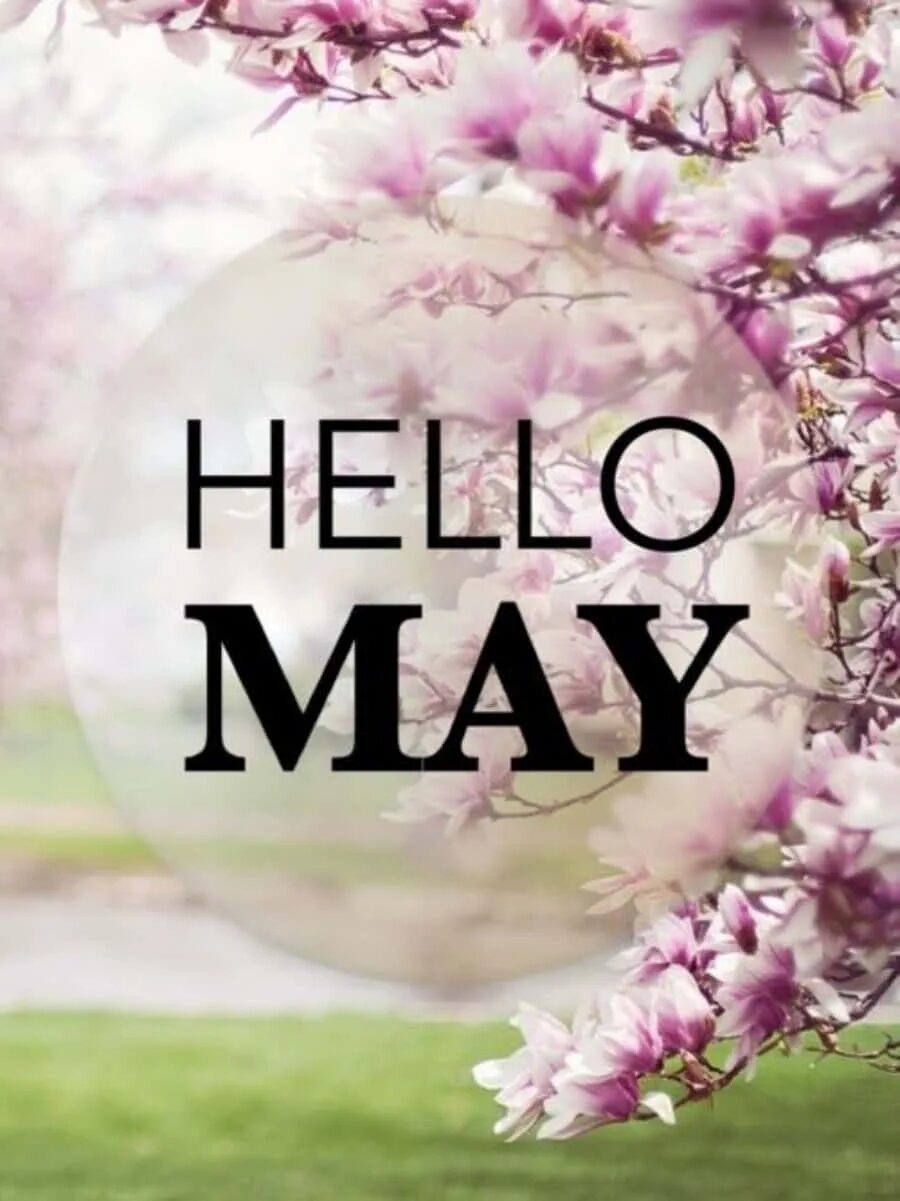 May this month. Hello May. Месяц май с надписью. Май картинки с надписью. Hello May картинки.