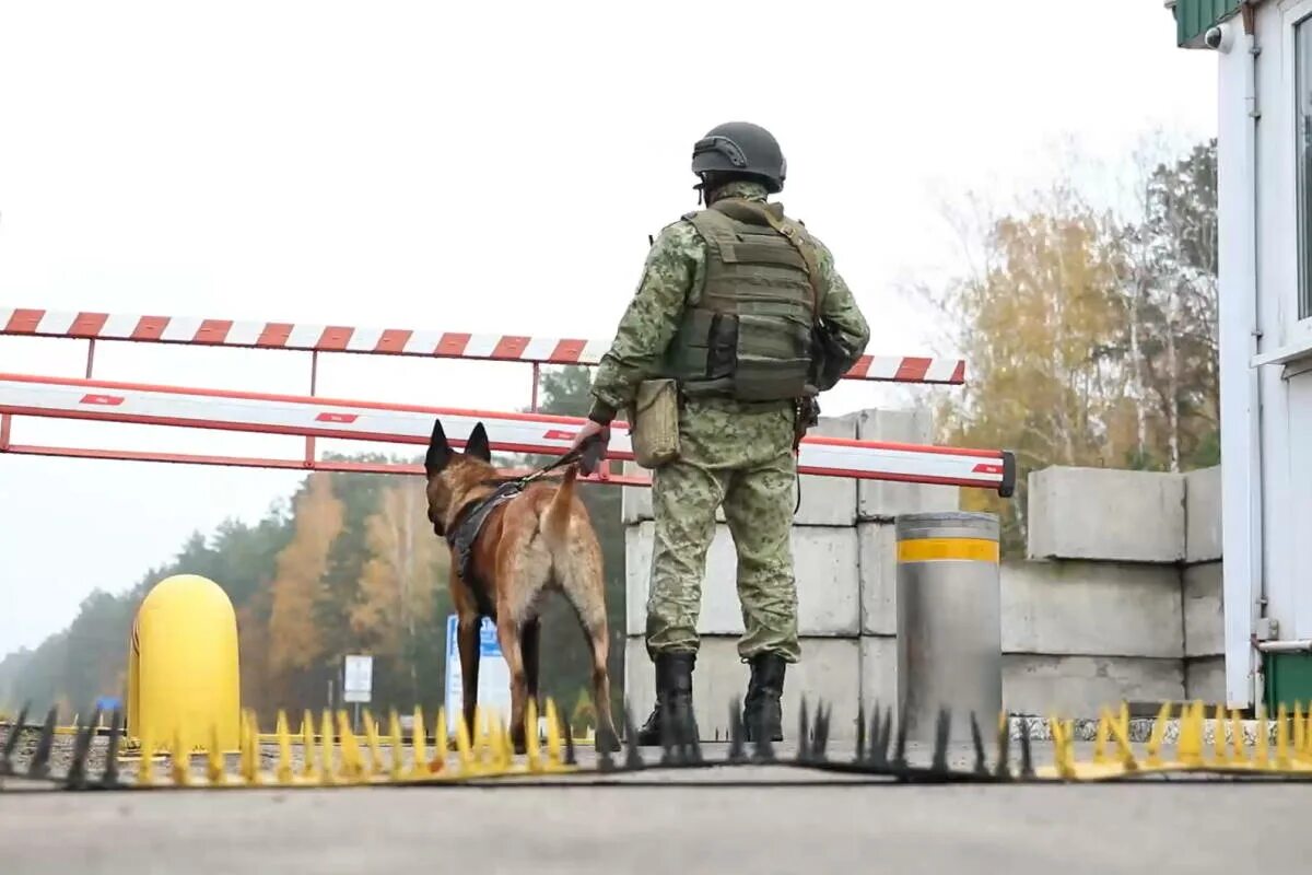 Белорусская граница с украиной. Фуры на границе с беларусью. Мигранты на польско белорусской границе. Украино белорусская граница. Фуры на границе.