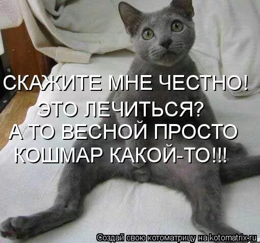 Кар кар. Какой кошмар. Какой кошмар мем. Какой кошмар картинки. Какой кошмар прикол.