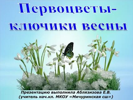 Весенние цветы презентация