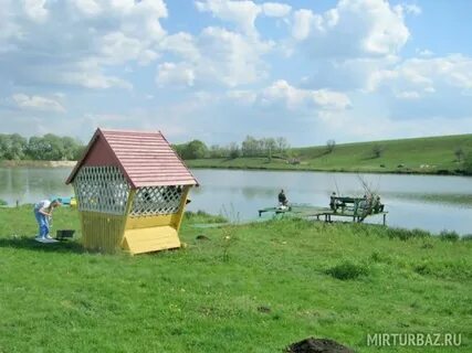 Золотой карп воронежская область