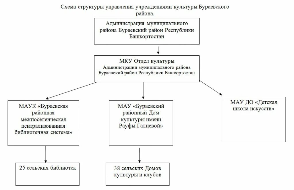 Управление культурными учреждениями. Организационная структура дома культуры схема. Структура учреждения культуры схема. Организационная структура дворца культуры. Организационная структура учреждения культуры схема.