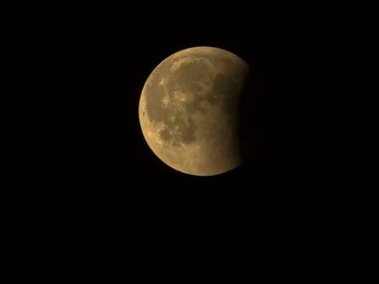 Moon society