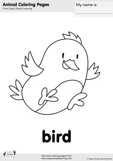 Bird на английском