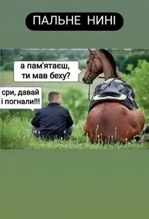 Коротко про