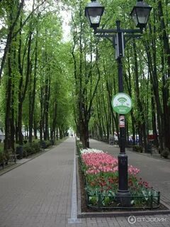 Москва бабушкинская отзывы
