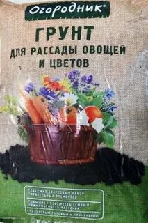 Сайт грунт