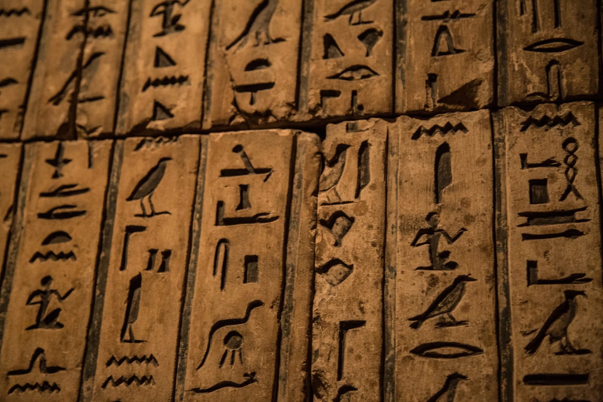 Egypt code