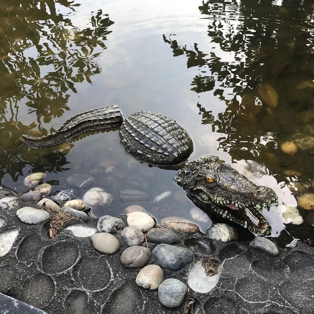 Крокодил в водоеме. Черепаха в пруду. Украшения для пруда. Пруд с крокодилами. Фигуры для пруда.