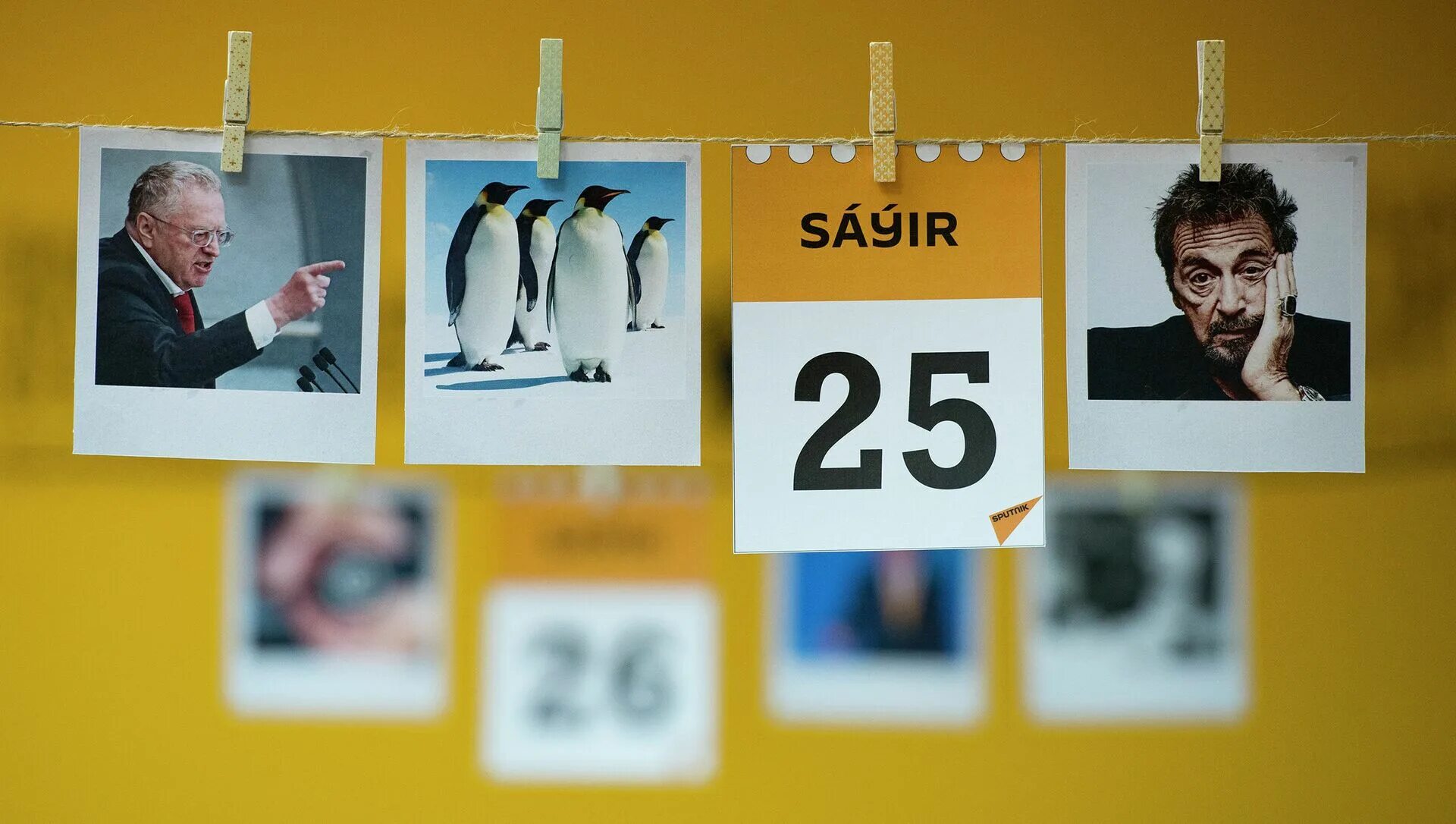 25 апреля 2021. 25 апреля 2021. 25 апреля 2021. Сематару 2021. 25 апреля 2021.