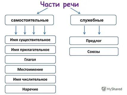 Слова которые относятся к самостоятельным частям