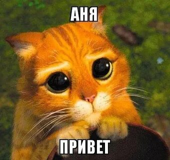 Анечки привет