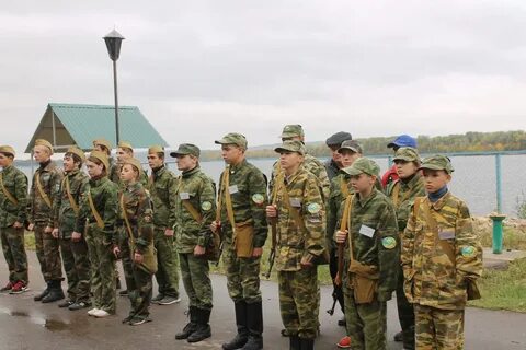 Сайт зарница