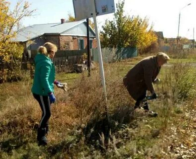Погода ревино саратовская область красноармейский