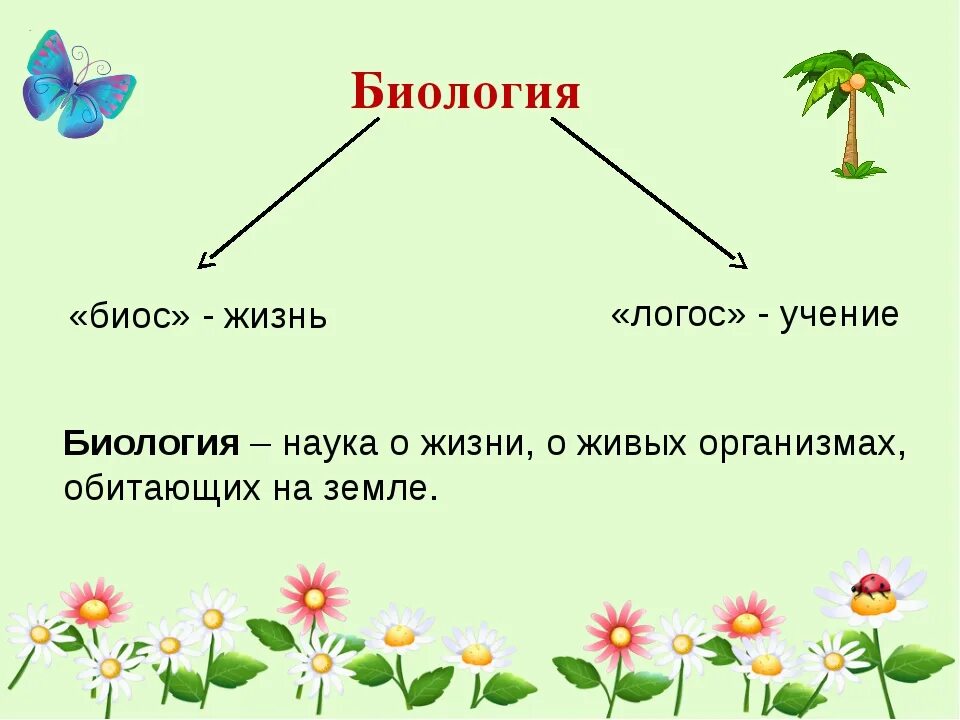 Биология определение. Биология определение 5 класс. Биология 3 класс. Биология презентация