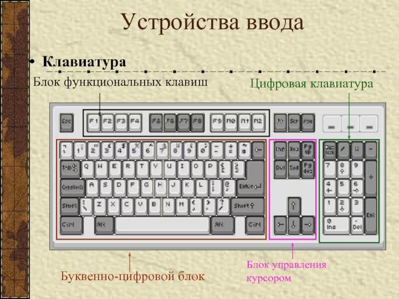 Ввод информации клавиша. Конструкция клавиатуры. Клавиши ввода на клавиатуре. Клавиши управления курсором. Блоки клавиш на клавиатуре.