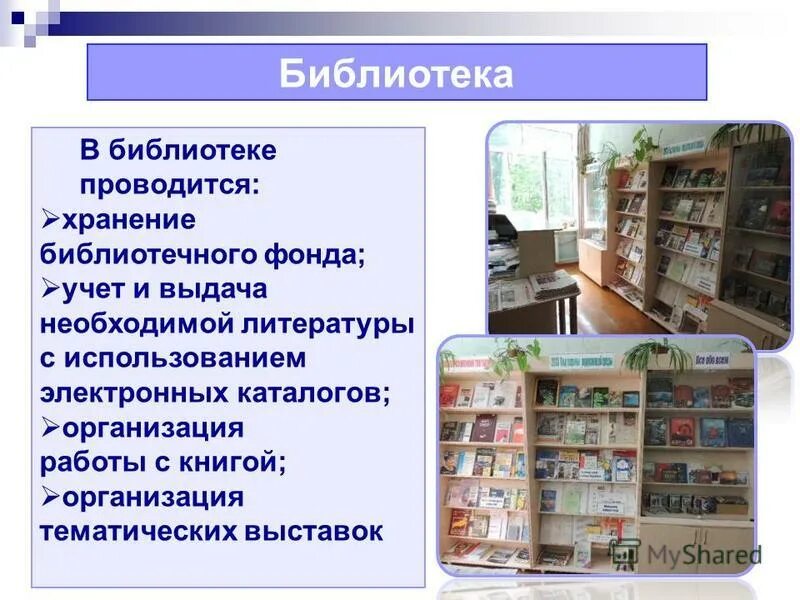 Цифровой фонд библиотеки. Комплектование фонда библиотеки. Хранение библиотечного фонда. Организация хранения книг в библиотеке. Сохранность книг в библиотеке.