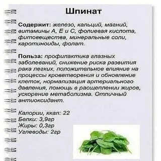 Крапива бжу