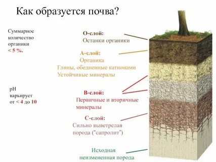 Чем выше слой тем больше