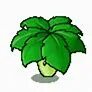 Пвз 1 пальма зонтик. Крыша из листьев пальмы. Пальма зонтик pvz. Umbrella leaves placement tactic. Umbrella leaf растения.