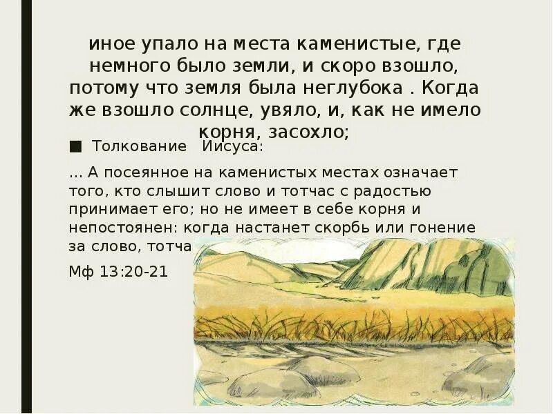 Время слова взойдет. Притча о засохшей земле. Солнце ещё не взошло а в стране дураков уже кипела. Солнце еще не взошло. Солнце еще не всходило.