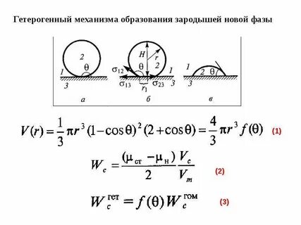 Процесс образования двуслойного зародыша