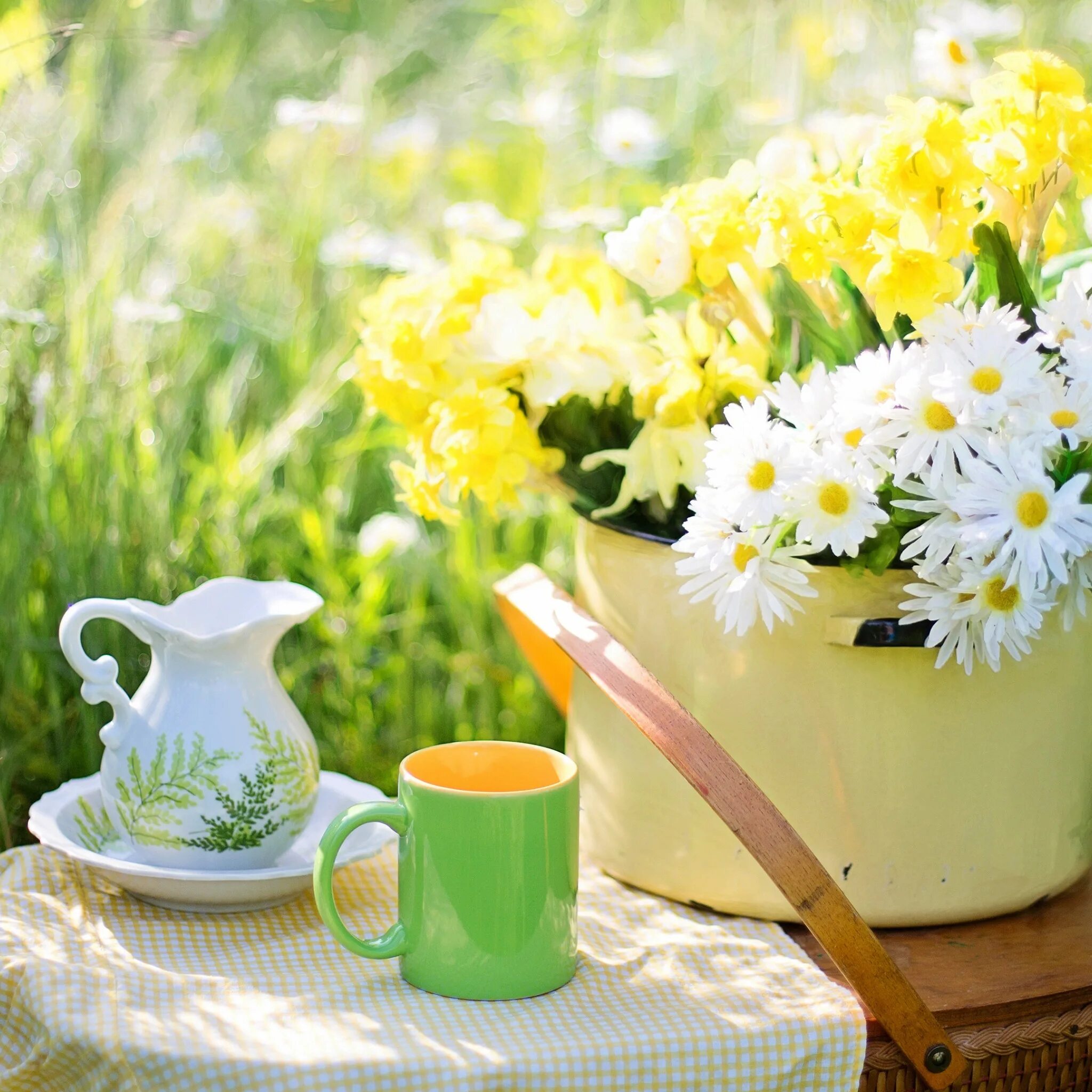 Утро летнего дня. Утренние цветы. Летнее утро. Утро лето цветы. Летний.