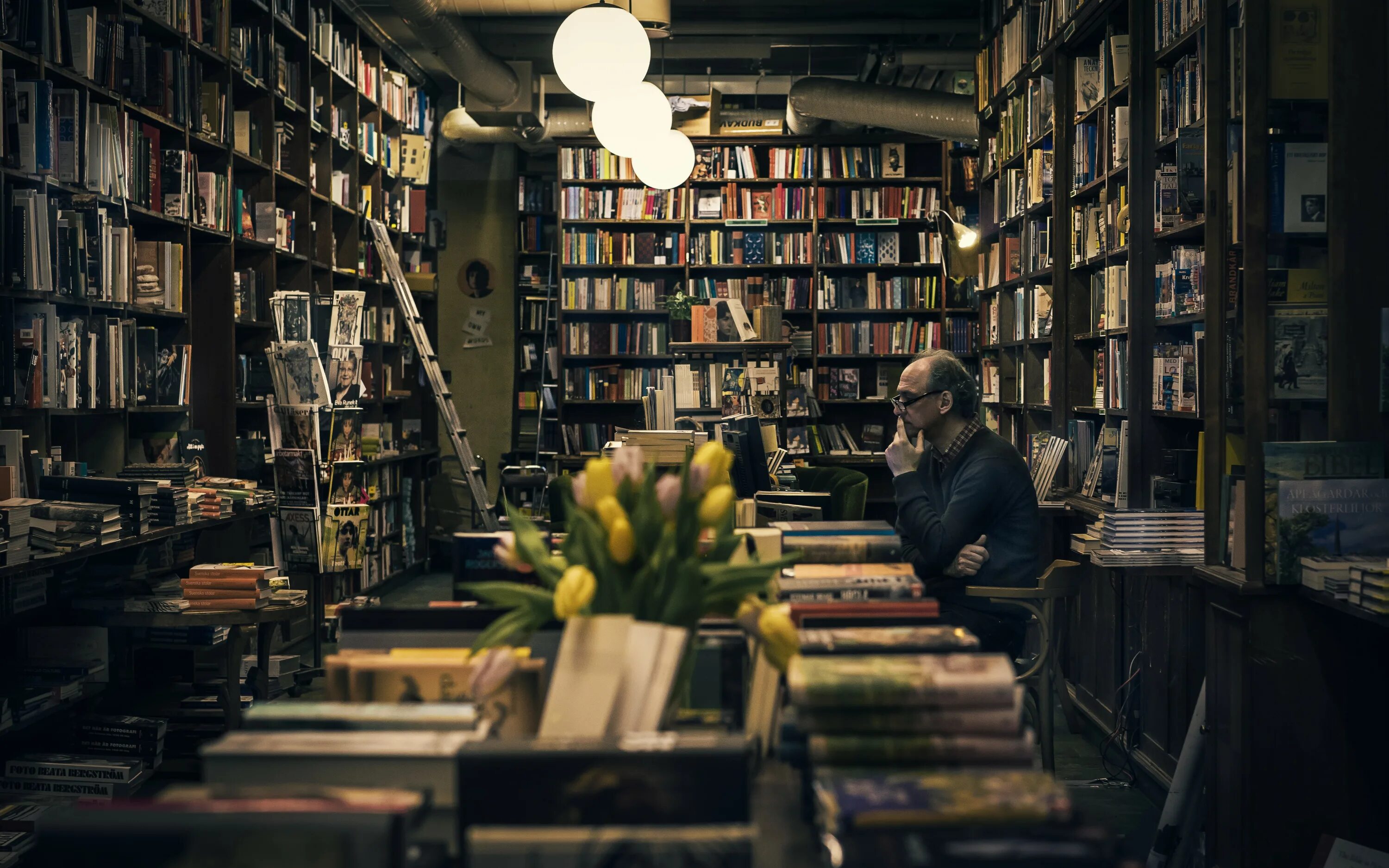 Ночной книжный магазин. Писатели о библиотеке. Много книг. Читатели в библиотеке.
