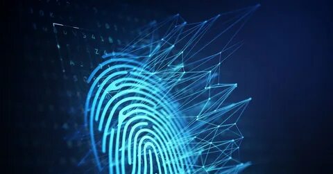 Fingerprint system