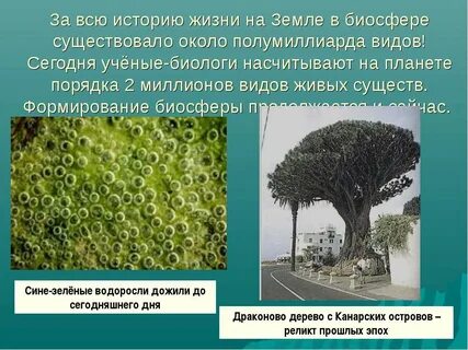 Закономерности жизни на земле