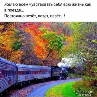 Скорый домой мчится