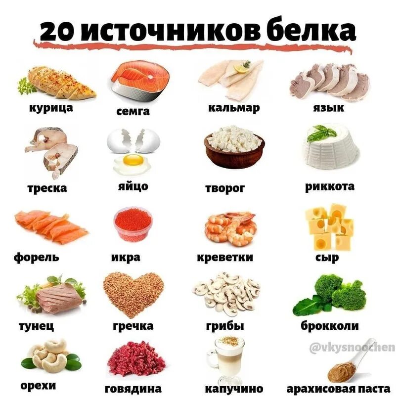 Белок в продуктах. Белок в курице. Источники белка. Источники белка в продуктах. Можно ли белок в пост