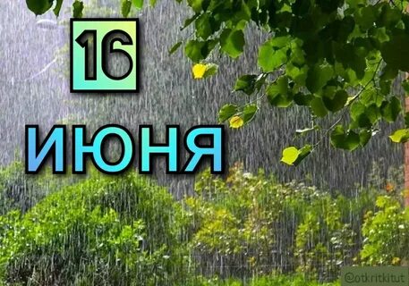 День чекушки 16 июня картинки прикольные