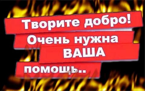 Внимание сбор средств